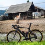 Na obisk k avtohtoni barjanski ivali colnagoconcept a2u cyclinglife cyclingshotshellip